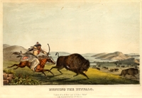 Like the buffalo on the American Plains, the eastern bison was almost hunted to extinction.  Hunting the Buffalo, frontispiece.  History of the Indian Tribes of North America, Vol. I, Thomas Loraine McKenny (1785-1859), 1855.