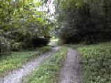 The Neck Road in Harrod's Creek