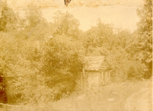 Three circa 1892 views of Wold Pen Branch mill by an unknown photographer.  Filson Photograph Collection